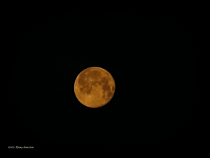 Orange Moon