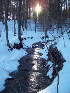 Winter Stream