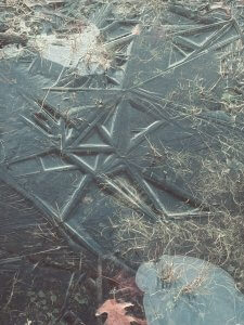 Shape of Water - Kim Hopkins